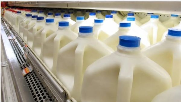 Galones de leche en la percha de un supermercado