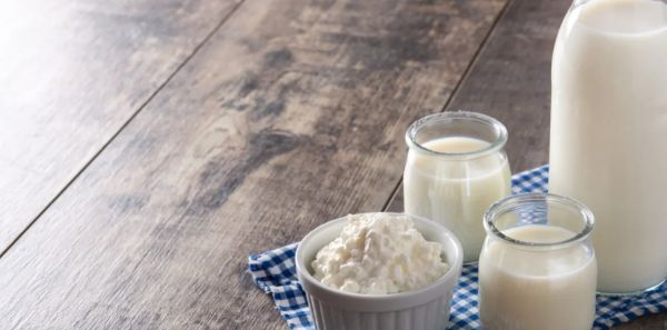 Kéfir y productos lácteos fermentados