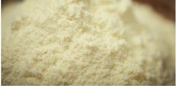 Leche en polvo