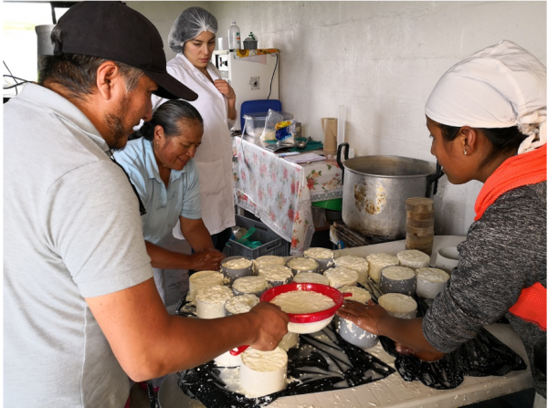 Elaboración artesanal de queso en Ecuador